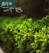 百度oppo贴吧第一届o拍活动送iLIKE耳机，oppo礼盒 <font color=#ff0000>2014年4月16日结束</font>