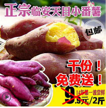 绿色的才是健康的！快抢1000份免费农家小红薯(送2斤还包邮) <font color=#ff0000>2014年9月20日结束</font>