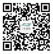 中节能生态岛今日12点整微信关注送万元微信红包（可提现）