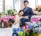 天下看大同雅博回门庆典直播送最少1元微信红包奖励