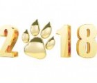 本次站内新年和盖楼红包已全部支付完毕，谢谢支持