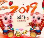 活动资讯网祝大家2019新年快乐 猪年大吉 给大家拜年了