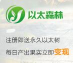 以太森林种树得果实可 详细流程步骤