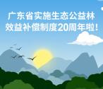 广东林业助跑广东生态公益林抽随机微信红包 亲测中1元